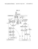 NOVEL ANTI-IGF-IR ANTIBODIES AND USES THEREOF diagram and image