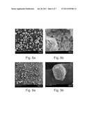 POROUS, CARBOHYDRATE-BASED FOAM STRUCTURES AND ASSOCIATED METHODS diagram and image