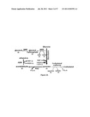 YEAST ORGANISM PRODUCING ISOBUTANOL AT A HIGH YIELD diagram and image