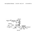 YEAST ORGANISM PRODUCING ISOBUTANOL AT A HIGH YIELD diagram and image