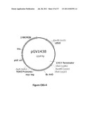 YEAST ORGANISM PRODUCING ISOBUTANOL AT A HIGH YIELD diagram and image