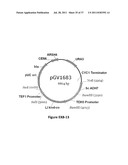 YEAST ORGANISM PRODUCING ISOBUTANOL AT A HIGH YIELD diagram and image