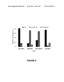 Maize Cellulose Synthases and Uses Thereof diagram and image