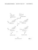 MASS TAG REAGENTS FOR SIMULTANEOUS QUANTITATION AND IDENTIFICATION OF     SMALL MOLECULES diagram and image