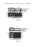 Diagnosis and Prognosis of Infectious Disease Clinical Phenotypes and     other Physiologic States Using Host Gene Expression Biomarkers In Blood diagram and image