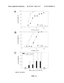 ENHANCEMENT OF BACILLUS THURINGIENSIS CRY PROTEIN TOXICITIES TO     COLEOPTERANS, AND NOVEL INSECT CADHERIN FRAGMENTS diagram and image