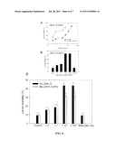 ENHANCEMENT OF BACILLUS THURINGIENSIS CRY PROTEIN TOXICITIES TO     COLEOPTERANS, AND NOVEL INSECT CADHERIN FRAGMENTS diagram and image