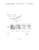 PTHrP, ITS ISOFORMS AND ANTAGONIST THERETO IN THE DIAGNOSIS AND TREATMENT     OF DISEASE diagram and image