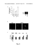 Uses and Compositions Comprising miRNAs diagram and image