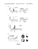 Uses and Compositions Comprising miRNAs diagram and image