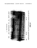 Enzymatic Nucleic Acid Synthesis: Compositions and Methods for Inhibiting     Pyrophosphorolysis diagram and image