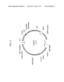 DELTA-8 DESATURASE AND ITS USE IN MAKING POLYUNSATURATED FATTY ACIDS diagram and image