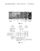 Portable Diagnostic Device for Precancerous Lesion of Cervical Cancer diagram and image