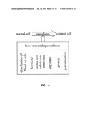 Portable Diagnostic Device for Precancerous Lesion of Cervical Cancer diagram and image