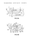 Methods and devices for denervation diagram and image