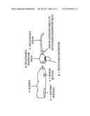 Oragienic Personal Dental Assistant diagram and image