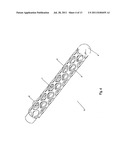 Embolization Device Constructed From Expansile Polymer diagram and image