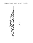 VASCULAR AND BODILY DUCT TREATMENT DEVICES AND METHODS diagram and image