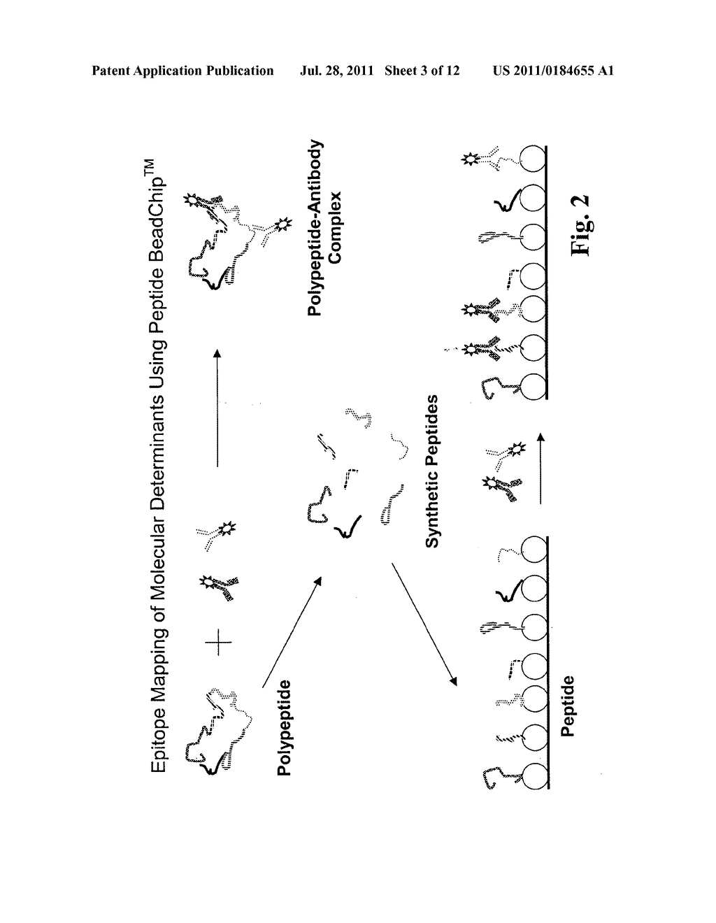 NUMBER CODING FOR IDENTIFICATION OF SUBTYPES OF CODED TYPES OF SOLID PHASE     CARRIERS - diagram, schematic, and image 04