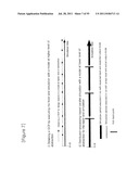 DYNAMIC-BASED VERIFICATION APPARATUS FOR VERIFICATION FROM ELECTRONIC     SYSTEM LEVEL TO GATE LEVEL, AND VERIFICATION METHOD USING THE SAME diagram and image