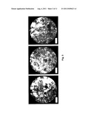 Clathrates for Gas Storage diagram and image