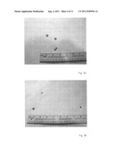 SHOTSHELL WITH COMBINATION LOAD FOR PERSONAL DEFENSE diagram and image