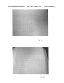 SHOTSHELL WITH COMBINATION LOAD FOR PERSONAL DEFENSE diagram and image