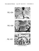 WATER TREATMENT SYSTEMS AND METHODS diagram and image