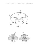 APPARATUS AND METHOD CAPABLE OF CHANGING ILLUMINATION REGION diagram and image