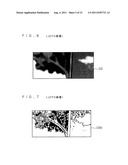 LINE DRAWING PROCESSING APPARATUS, STORAGE MEDIUM STORING A     COMPUTER-READABLE PROGRAM, AND LINE DRAWING PROCESSING METHOD diagram and image