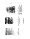 System and Method for Hyperspectral Imaging of Treated Fingerprints diagram and image