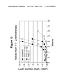 Antibody Therapy diagram and image