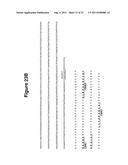 Antibody Therapy diagram and image