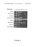 Applications For A New Class Of Enzymes: Sulfiredoxins diagram and image