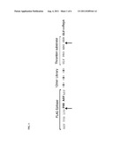 Peptide Stabilizer Compounds and Screening Method diagram and image