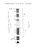 ANTIGENIC COMPOSITIONS AND USE OF SAME IN THE TARGETED DELIVERY OF NUCLEIC     ACIDS diagram and image