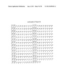 ANTIGENIC COMPOSITIONS AND USE OF SAME IN THE TARGETED DELIVERY OF NUCLEIC     ACIDS diagram and image