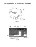 ANTIGENIC COMPOSITIONS AND USE OF SAME IN THE TARGETED DELIVERY OF NUCLEIC     ACIDS diagram and image