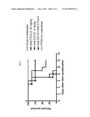 COMBINATION OF CD137 ANTIBODY AND CTLA-4 ANTIBODY FOR THE TREATMENT OF     PROLIFERATIVE DISEASES diagram and image