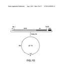 FOLD-BACK DIABODY DIPHTHERIA TOXIN IMMUNOTOXIN AND METHODS OF USE diagram and image