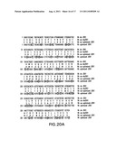 FOLD-BACK DIABODY DIPHTHERIA TOXIN IMMUNOTOXIN AND METHODS OF USE diagram and image