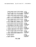 FOLD-BACK DIABODY DIPHTHERIA TOXIN IMMUNOTOXIN AND METHODS OF USE diagram and image