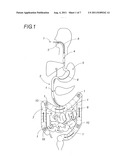 ORAL GALENIC FORM, POLYMER PRODUCTION METHOD AND USE OF SAME diagram and image