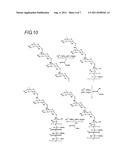 ORAL GALENIC FORM, POLYMER PRODUCTION METHOD AND USE OF SAME diagram and image