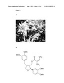 PHARMACEUTICAL COMPOSITIONS COMPRISING LIGNANS AND THEIR DERIVATIVES FOR     TREATING HYPERPLASTIC DISEASES diagram and image