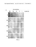 PEPTIDES THAT TARGET DORSAL ROOT GANGLION NEURONS diagram and image