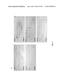 PEPTIDES THAT TARGET DORSAL ROOT GANGLION NEURONS diagram and image