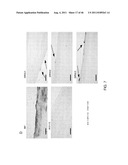 PEPTIDES THAT TARGET DORSAL ROOT GANGLION NEURONS diagram and image