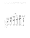 METHOD AND SYSTEM FOR DENTAL IMPLANTATION diagram and image