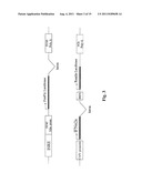 CELL, METHOD AND KIT FOR CONDUCTING AN ASSAY FOR NEUTRALIZING ANTIBODIES diagram and image